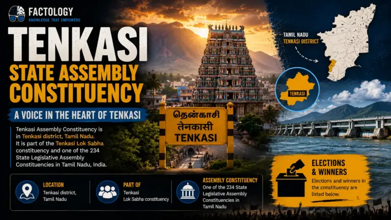 Tenkasi Assembly constituency is stranger than it sounds.