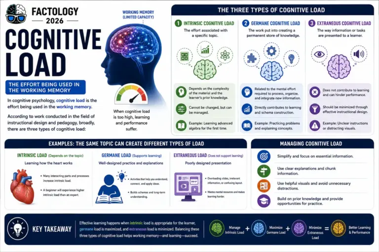 The facts behind Cognitive load.