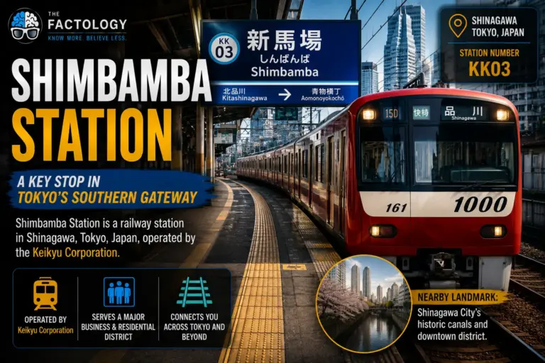 The facts behind Shimbamba Station.