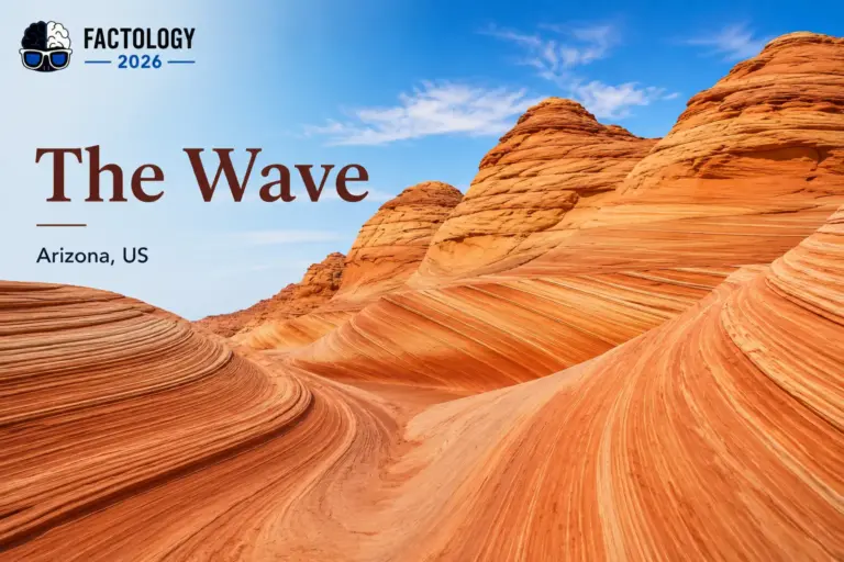 The Wave deserves a closer look.