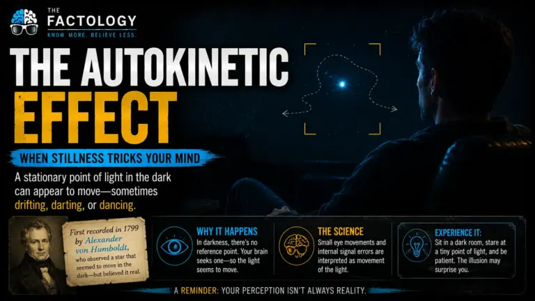 What people get wrong about Autokinetic effect.
