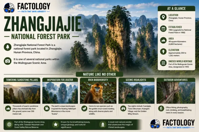 Zhangjiajie National Forest Park is not quite what it seems.