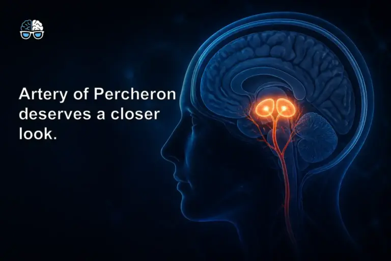 Artery of Percheron deserves a closer look.