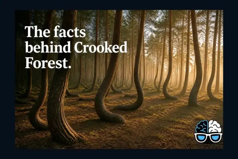 The facts behind Crooked Forest.