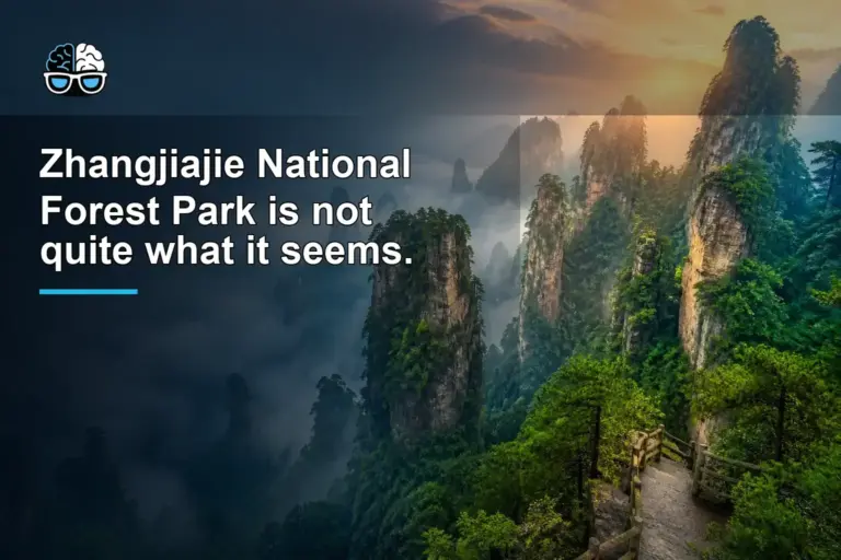 Zhangjiajie National Forest Park is not quite what it seems.