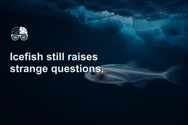 Icefish still raises strange questions.