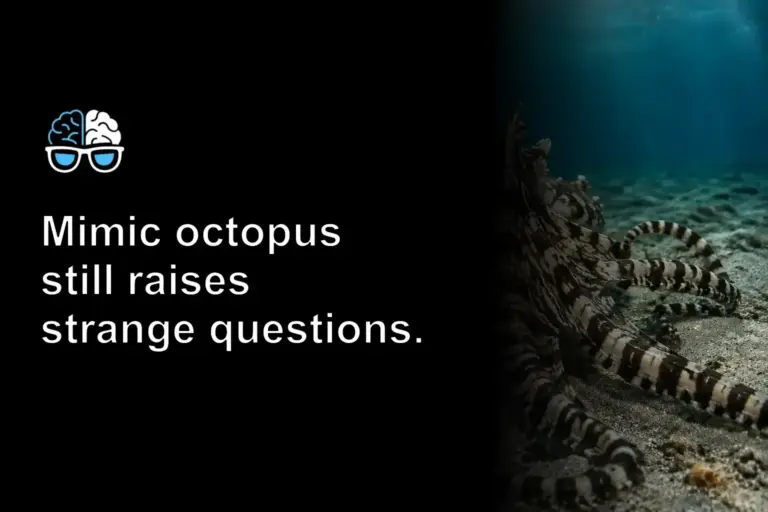 Mimic octopus still raises strange questions.