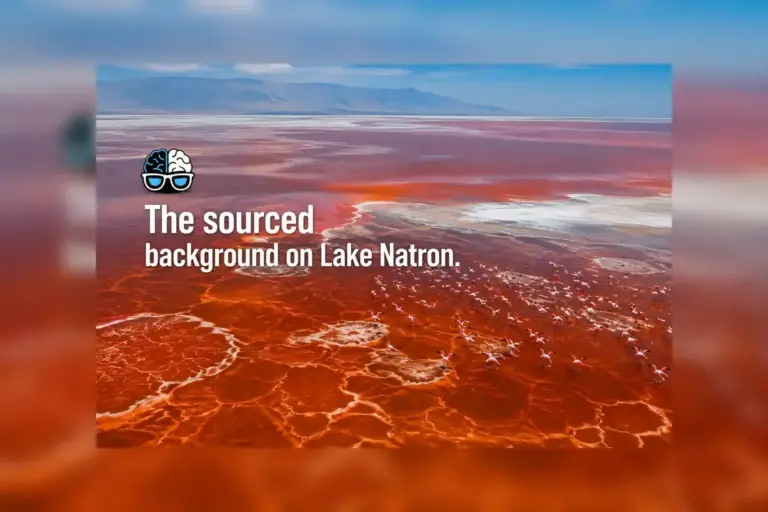 The sourced background on Lake Natron.